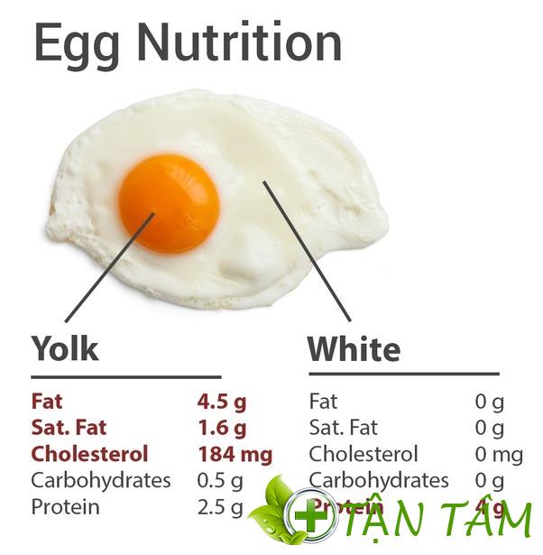 1 quả trứng gà bao nhiêu protein