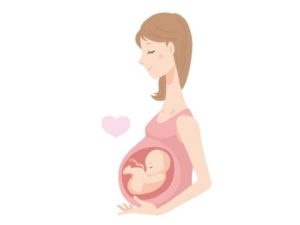 Quá trình phát triển cân nặng của thai nhi chuẩn nhất theo WHO
