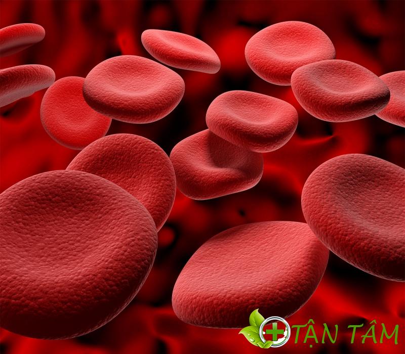 Lượng máu trong cơ thể con người khác nhau phụ thuộc vào nhiều yếu tố
